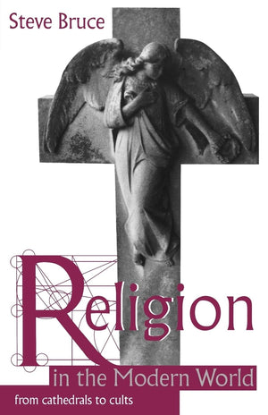 Religion in the Modern World: From Cathedrals to Cults,Used