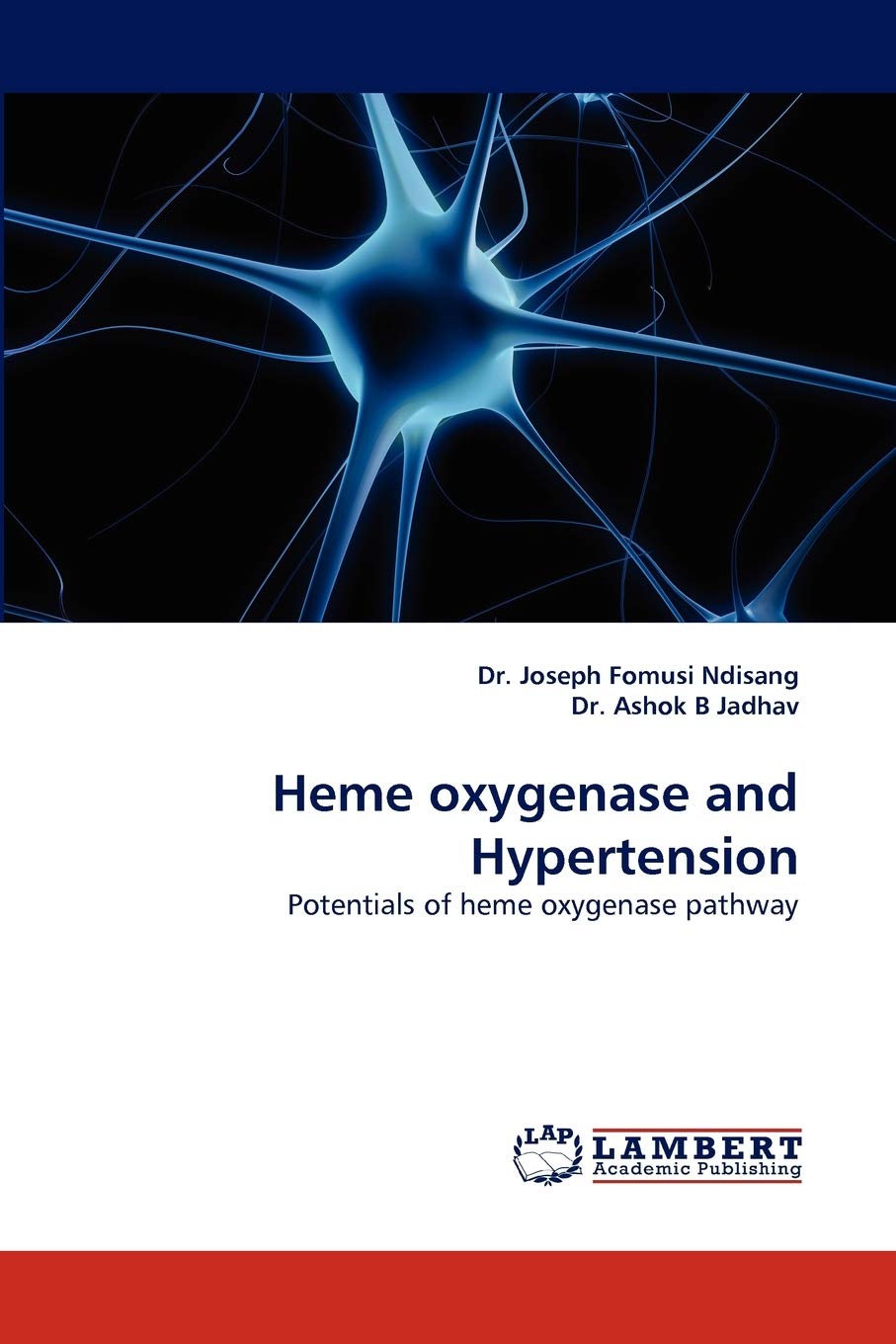 Heme oxygenase and Hypertension: Potentials of heme oxygenase pathway,Used