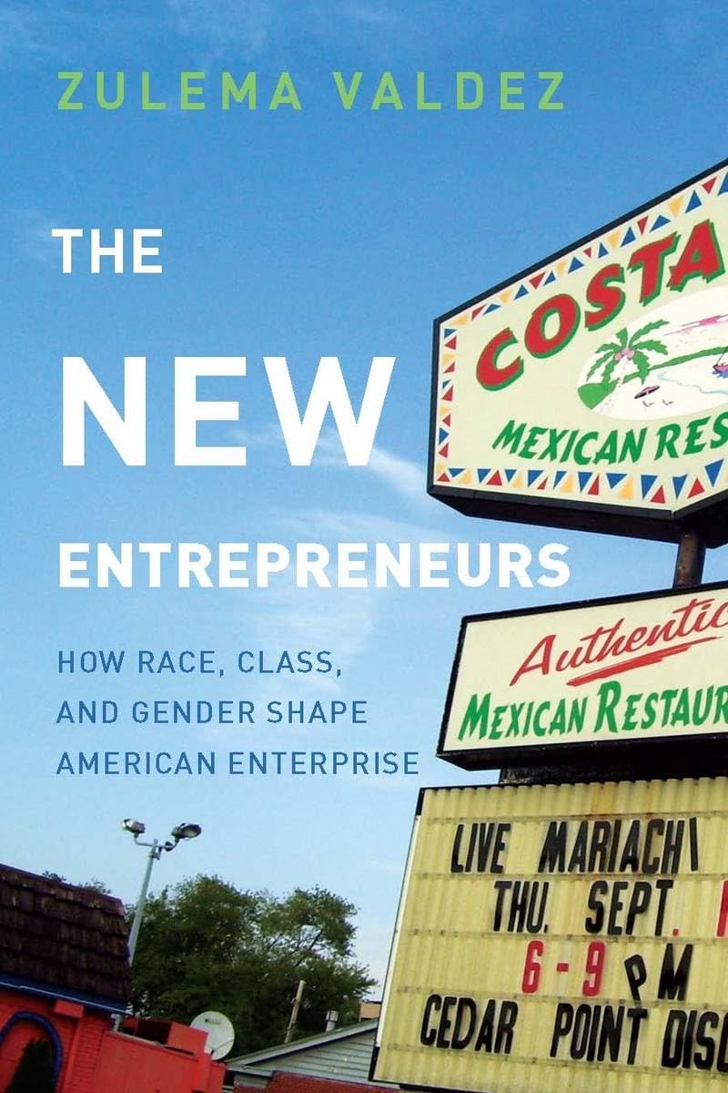 The New Entrepreneurs: How Race, Class, And Gender Shape American Enterprise,Used
