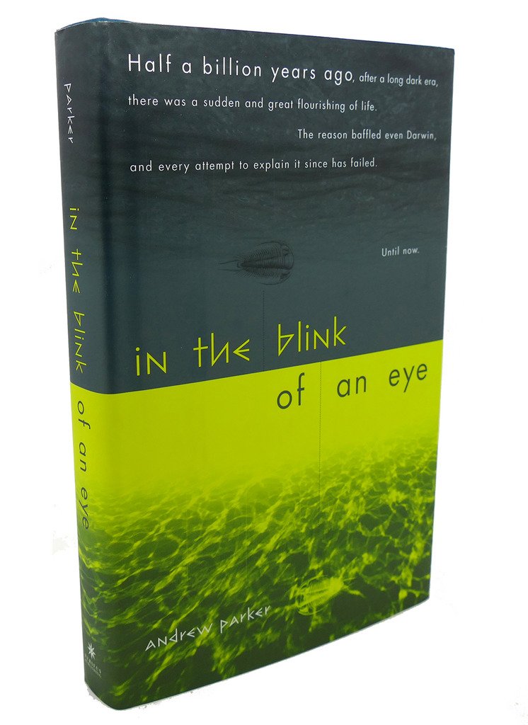 In The Blink Of An Eye-used