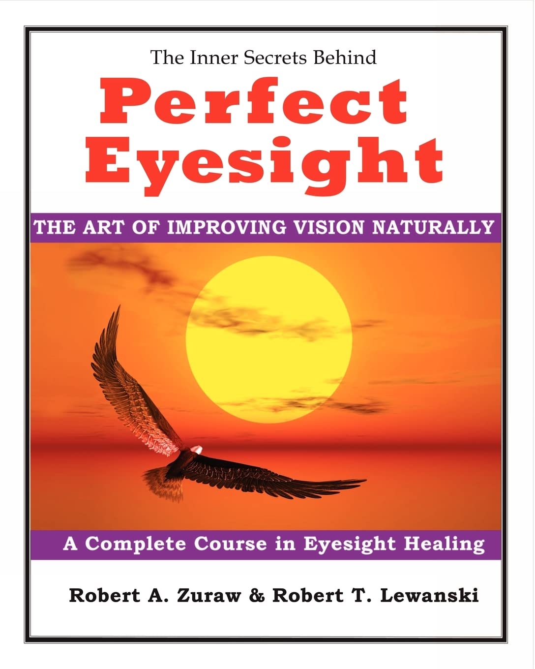 Perfect Eyesight: The Art of Improving Vision Naturally,Used