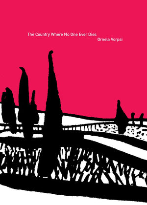 Country Where No One Ever Dies (Eastern European Literature Series),Used