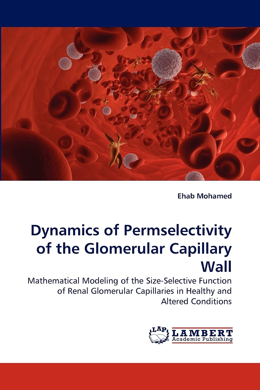Dynamics of Permselectivity of the Glomerular Capillary Wall: Mathematical Modeling of the SizeSelective Function of Renal Glom,Used