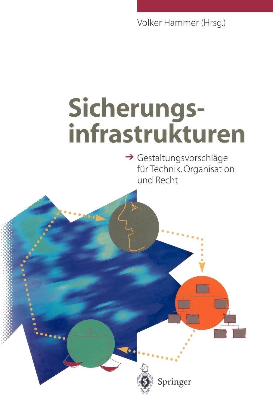 Sicherungsinfrastrukturen: Gestaltungsvorschlge fr Technik, Organisation und Recht (German Edition),Used