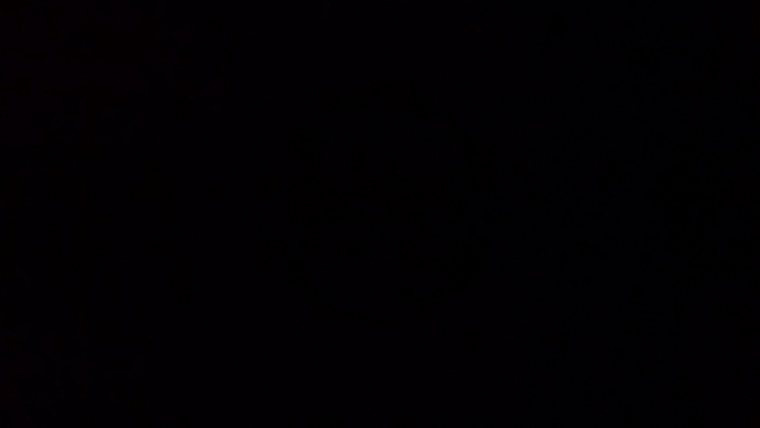 Channels to Children Early Childhood Activity Guide for Holidays and Seasons,Used