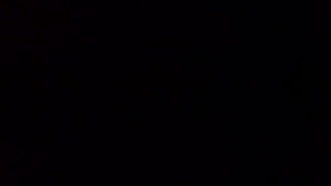 Channels to Children Early Childhood Activity Guide for Holidays and Seasons,Used