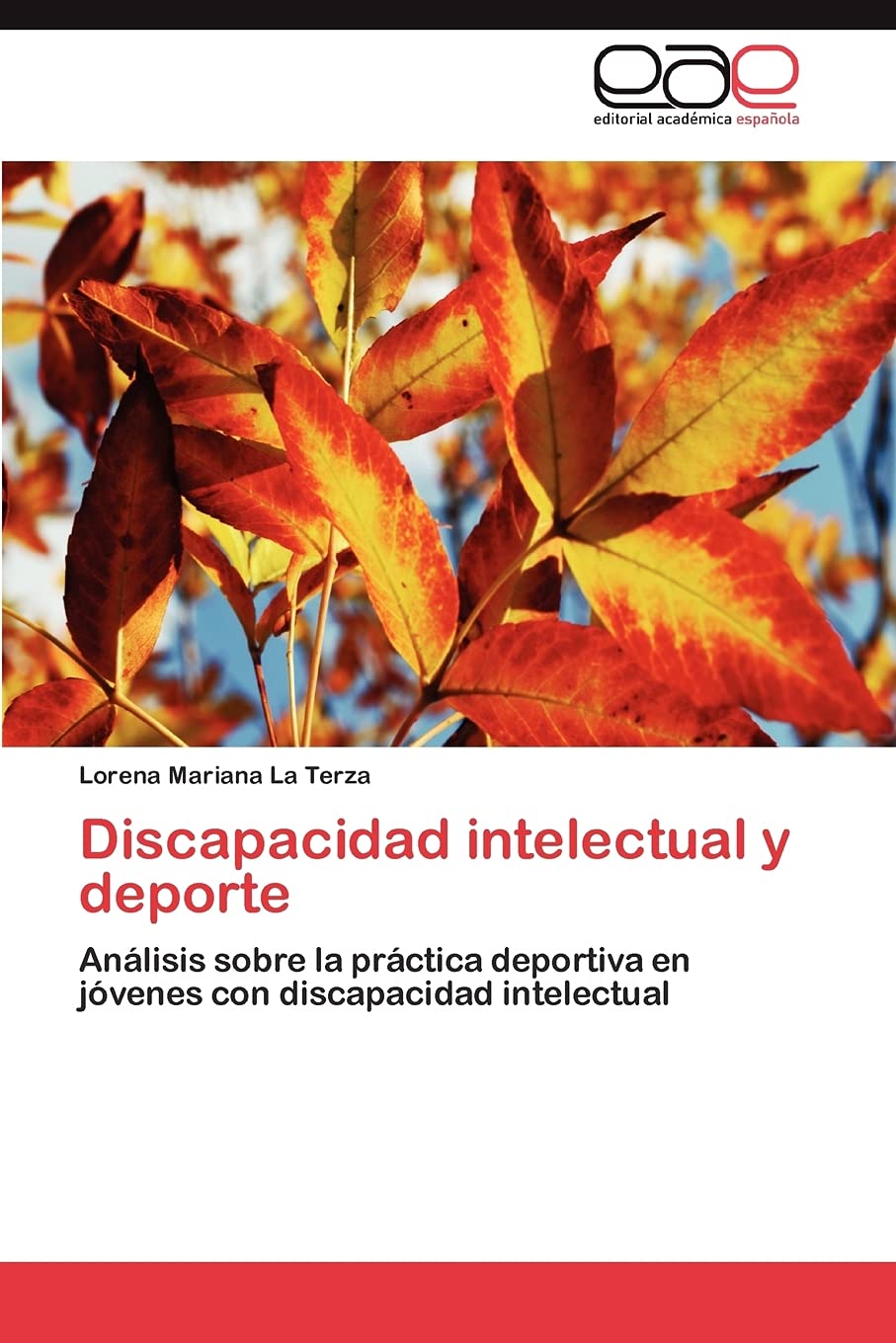 Discapacidad intelectual y deporte: Anlisis sobre la prctica deportiva en jvenes con discapacidad intelectual (Spanish Edi,Used