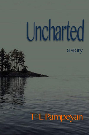 Uncharted: a story,Used