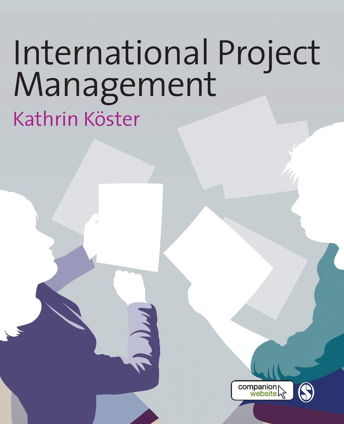 International Project Management,Used