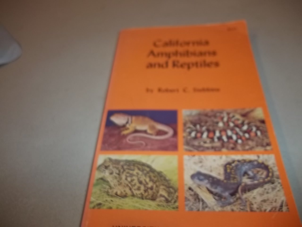 California Amphibians And Reptiles,New