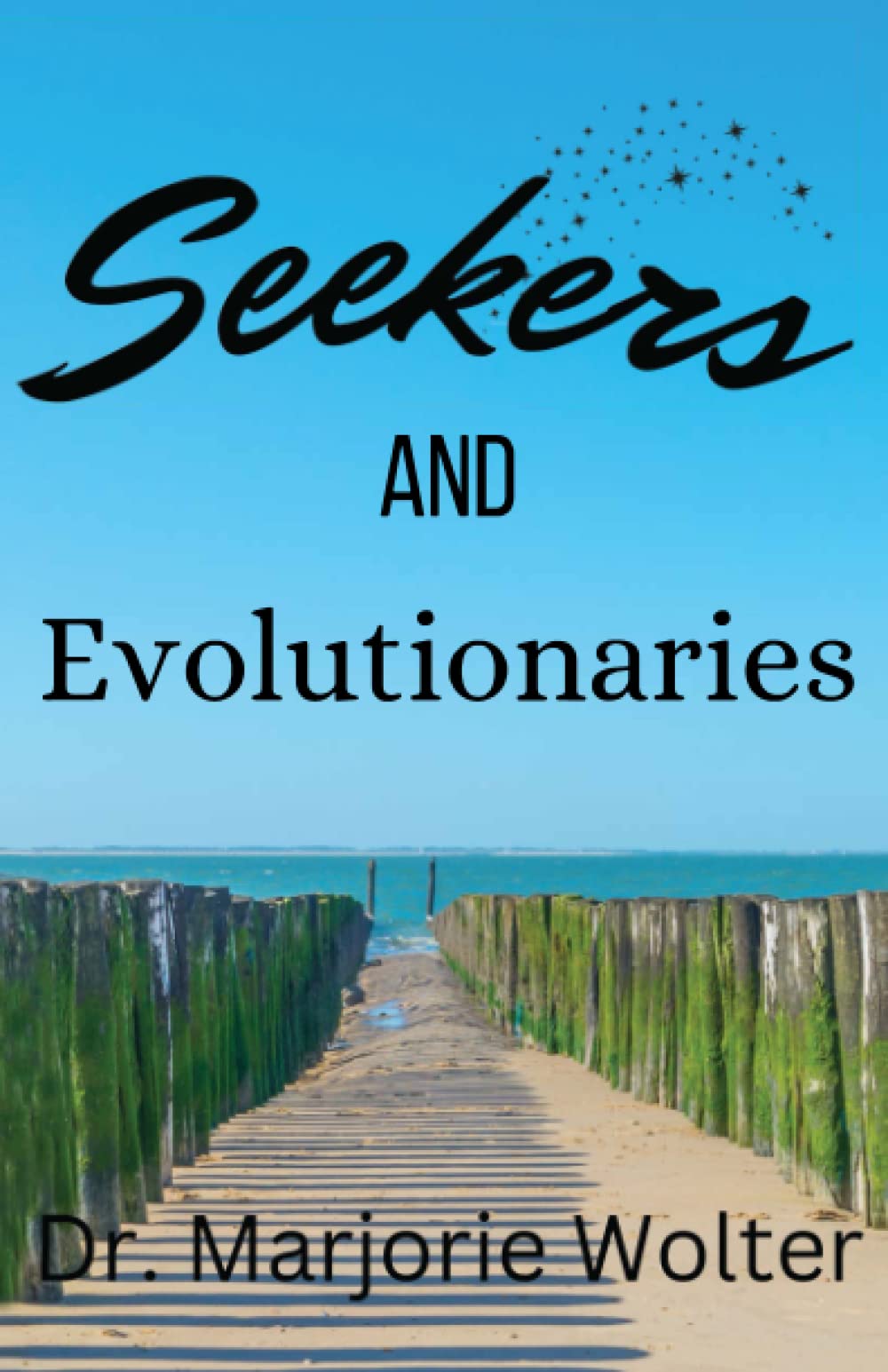 Seekers And Evolutionaries,Used