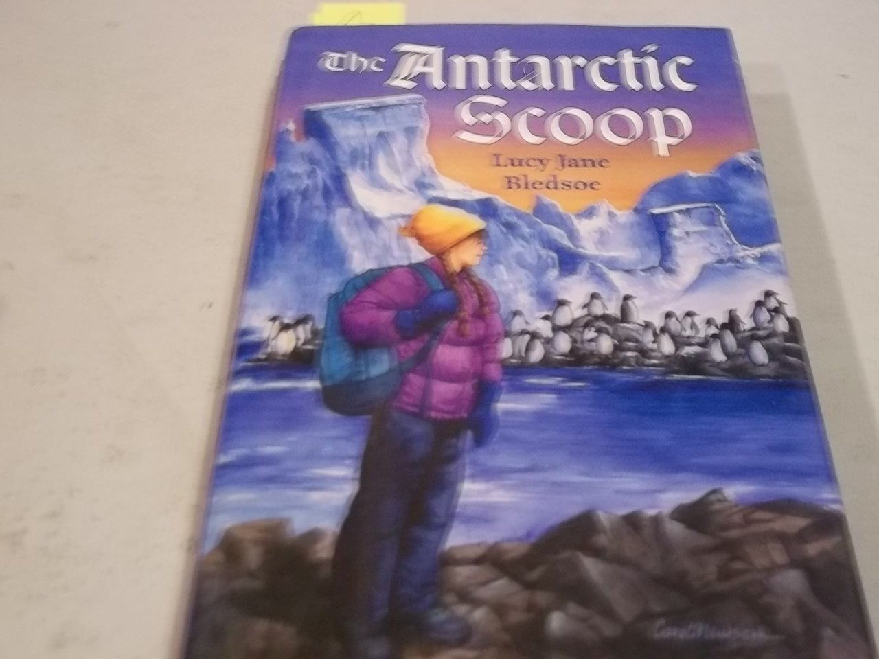 Antarctic Scoop,Used