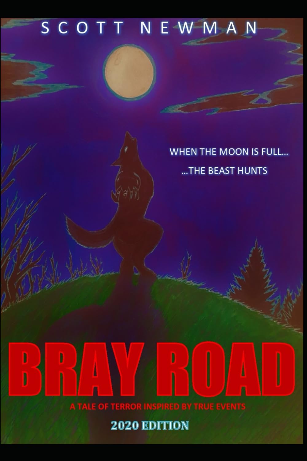 Bray Road,Used