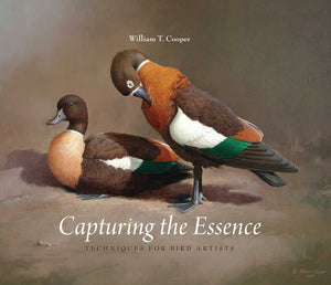 Capturing The Essence: Techniques For Bird Artists