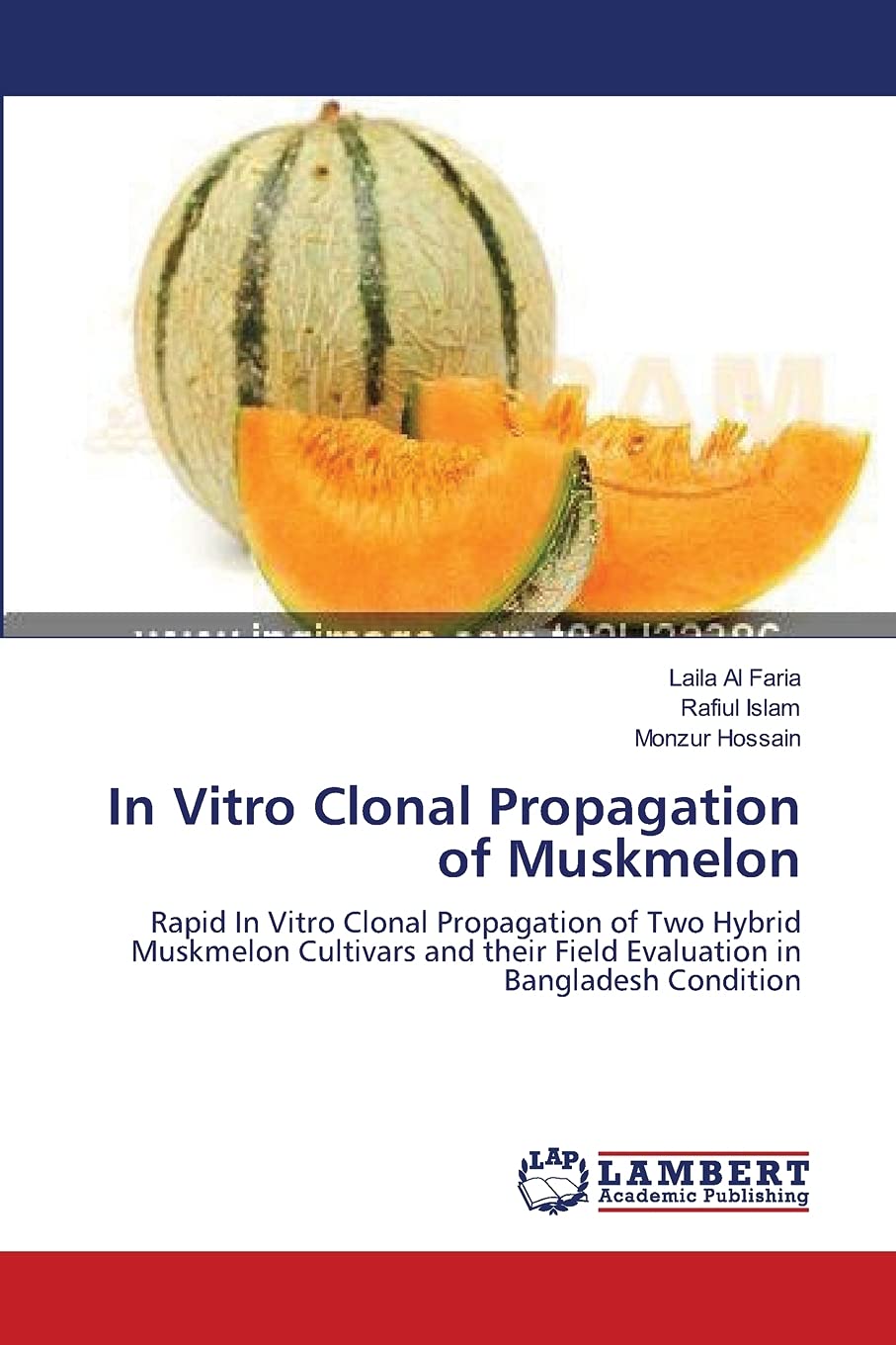 In Vitro Clonal Propagation of Muskmelon: Rapid In Vitro Clonal Propagation of Two Hybrid Muskmelon Cultivars and their Field Ev,Used