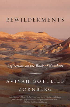 Bewilderments: Reflections On The Book Of Numbers,Used