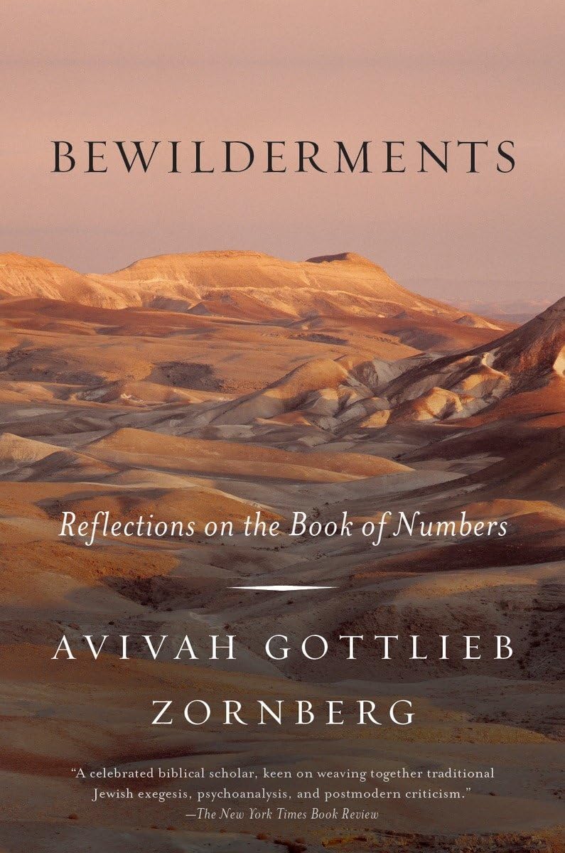 Bewilderments: Reflections On The Book Of Numbers,Used