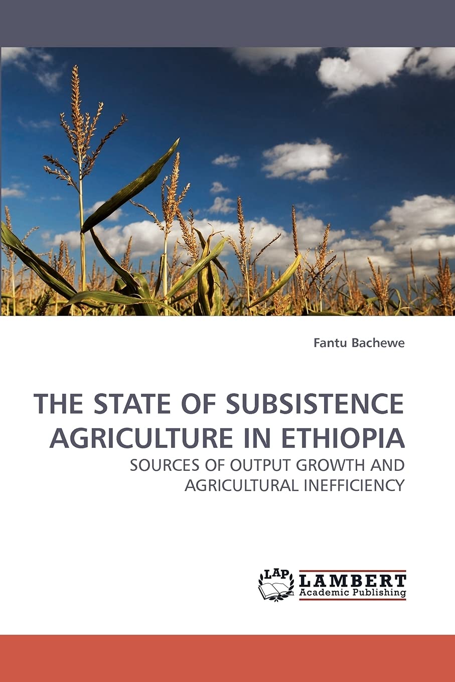 THE STATE OF SUBSISTENCE AGRICULTURE IN ETHIOPIA: SOURCES OF OUTPUT GROWTH AND AGRICULTURAL INEFFICIENCY,Used