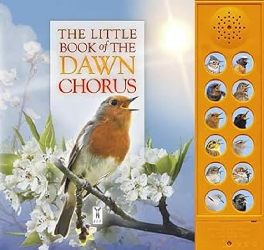 Little Book Of The Dawn Chorus,Used