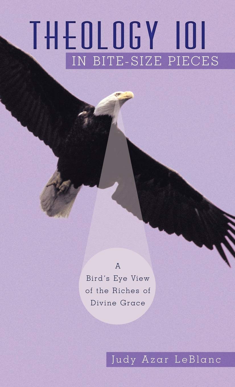 Theology 101 in BiteSize Pieces: A Bird's Eye View of the Riches of Divine Grace,Used