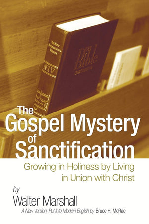 The Gospel Mystery of Sanctification: Growing in Holiness by Living in Union with Christ,Used