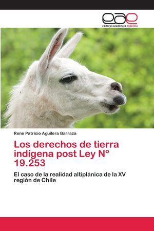 Los derechos de tierra indgena post Ley N 19.253: El caso de la realidad altiplnica de la XV regin de Chile (Spanish Editi,Used