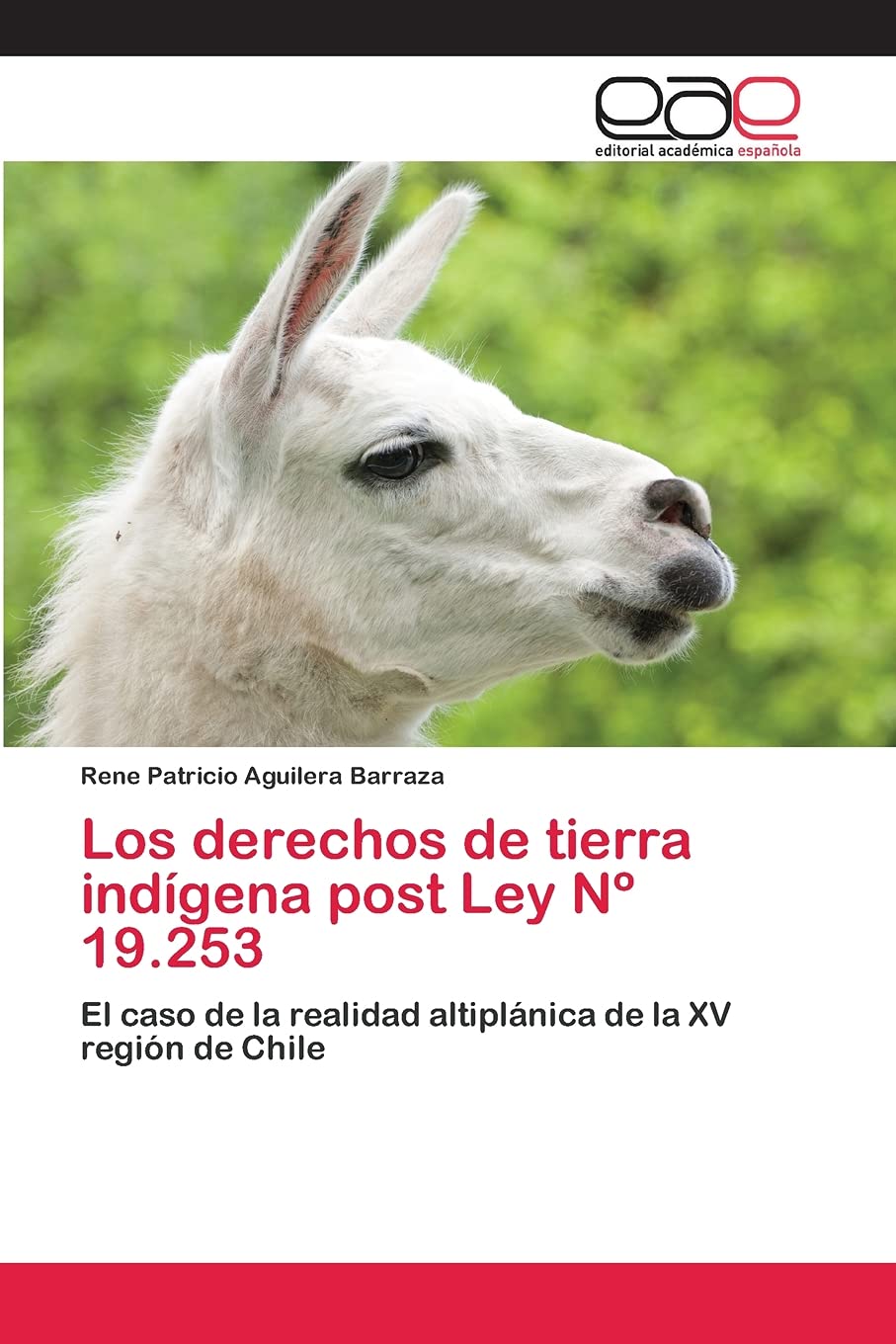 Los derechos de tierra indgena post Ley N 19.253: El caso de la realidad altiplnica de la XV regin de Chile (Spanish Editi,Used