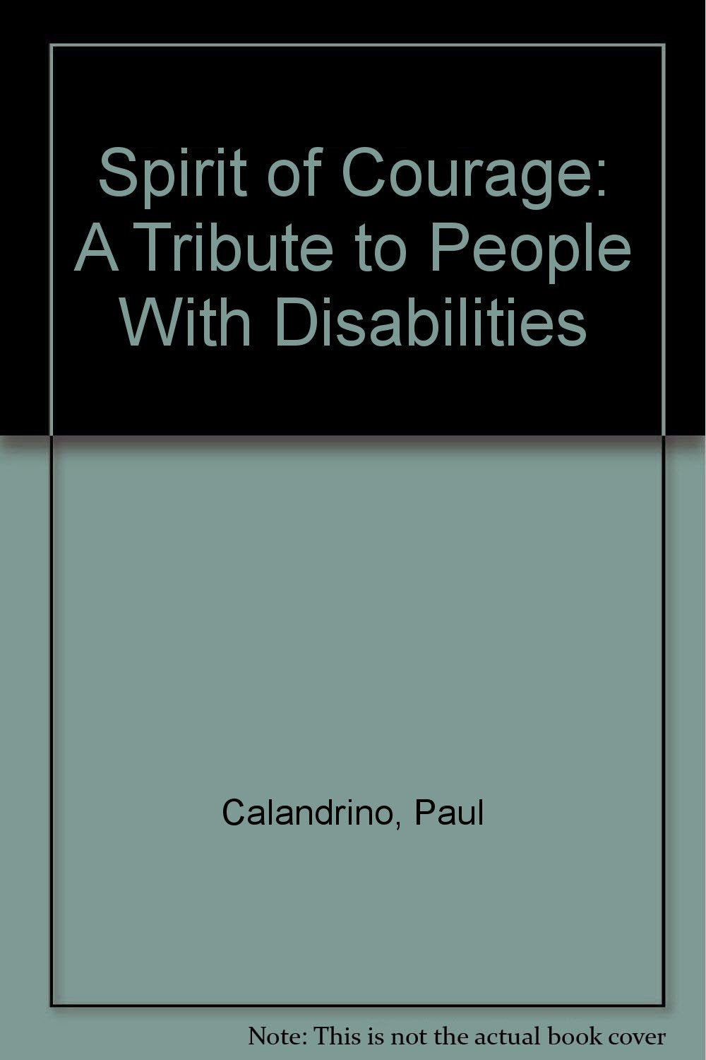 Spirit of Courage: A Tribute to People With Disabilities,Used