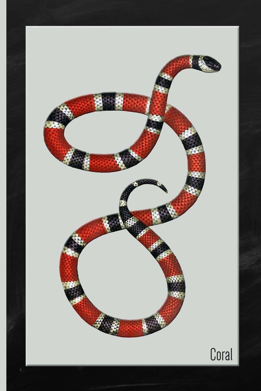 Snake : Coral Watercolor: 6x9 College Ruled Notebook,Used
