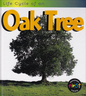 Life Cycle of an Oak Tree,Used