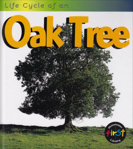 Life Cycle of an Oak Tree,Used