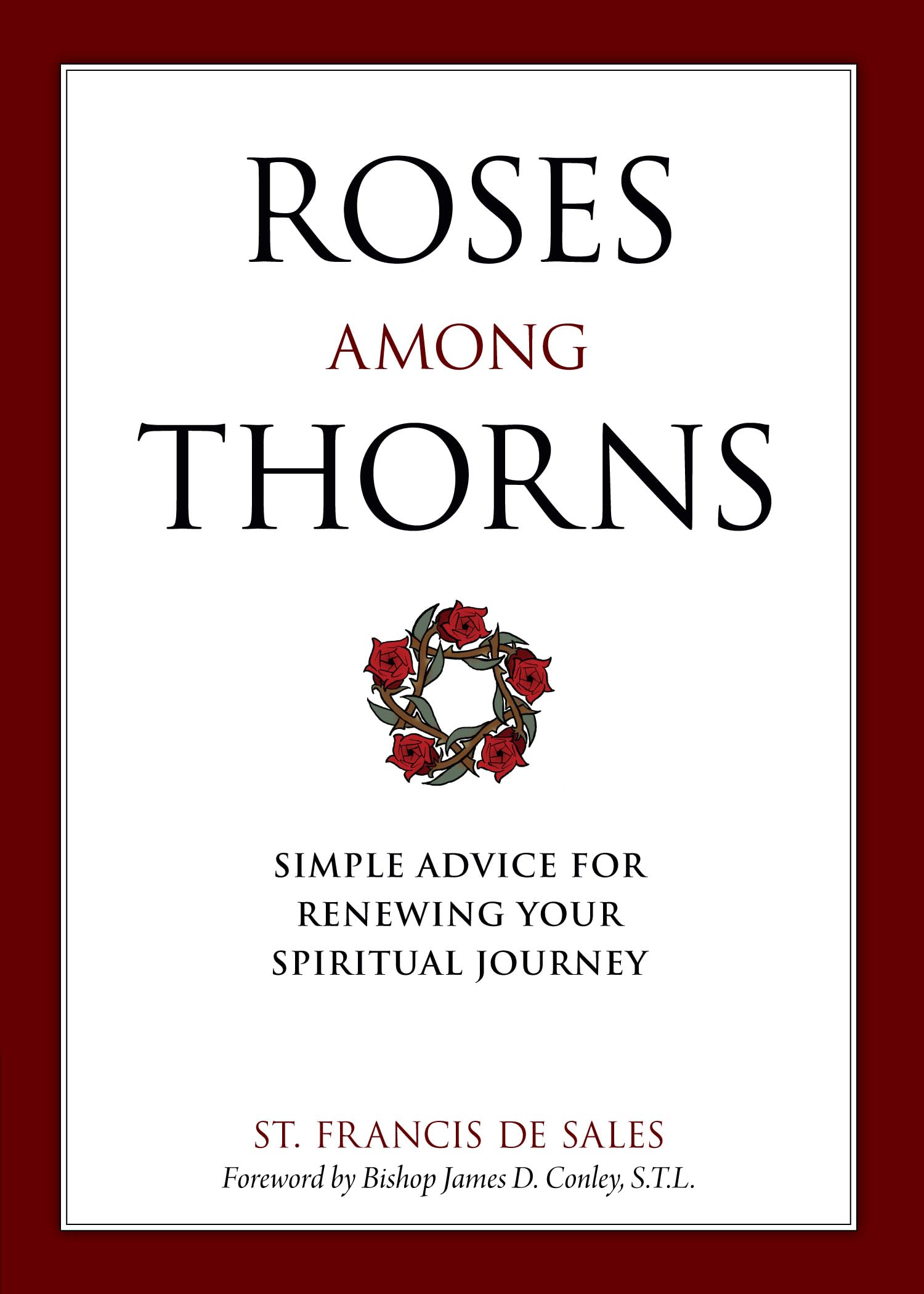 Roses Among Thorns: Simple Advice for Renewing Your Spiritual Journey,Used