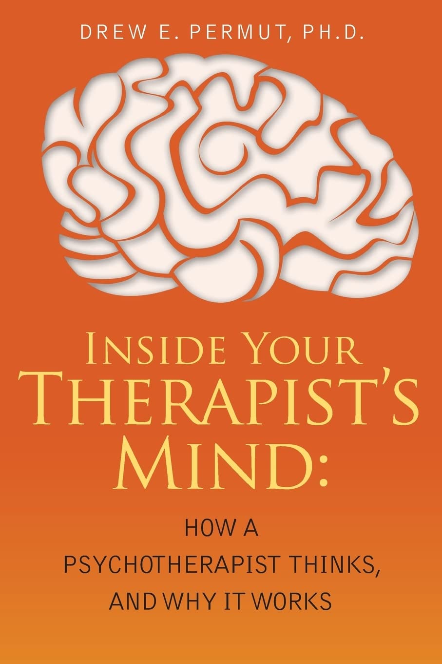 Inside Your Therapist'S Mind: How A Psychotherapist Thinks, And Why It Works,Used