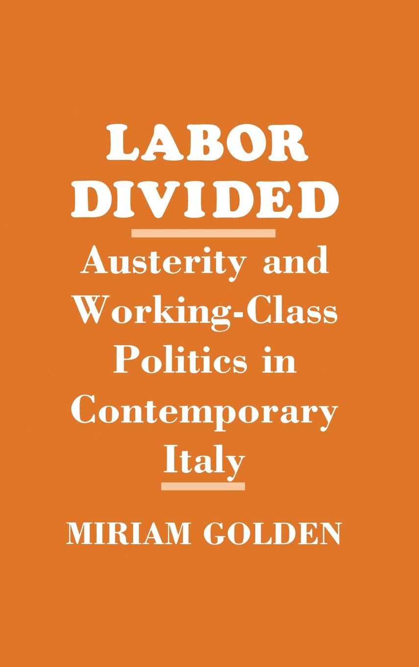 Labor Divided: Austerity and WorkingClass Politics in Contemporary Italy,Used
