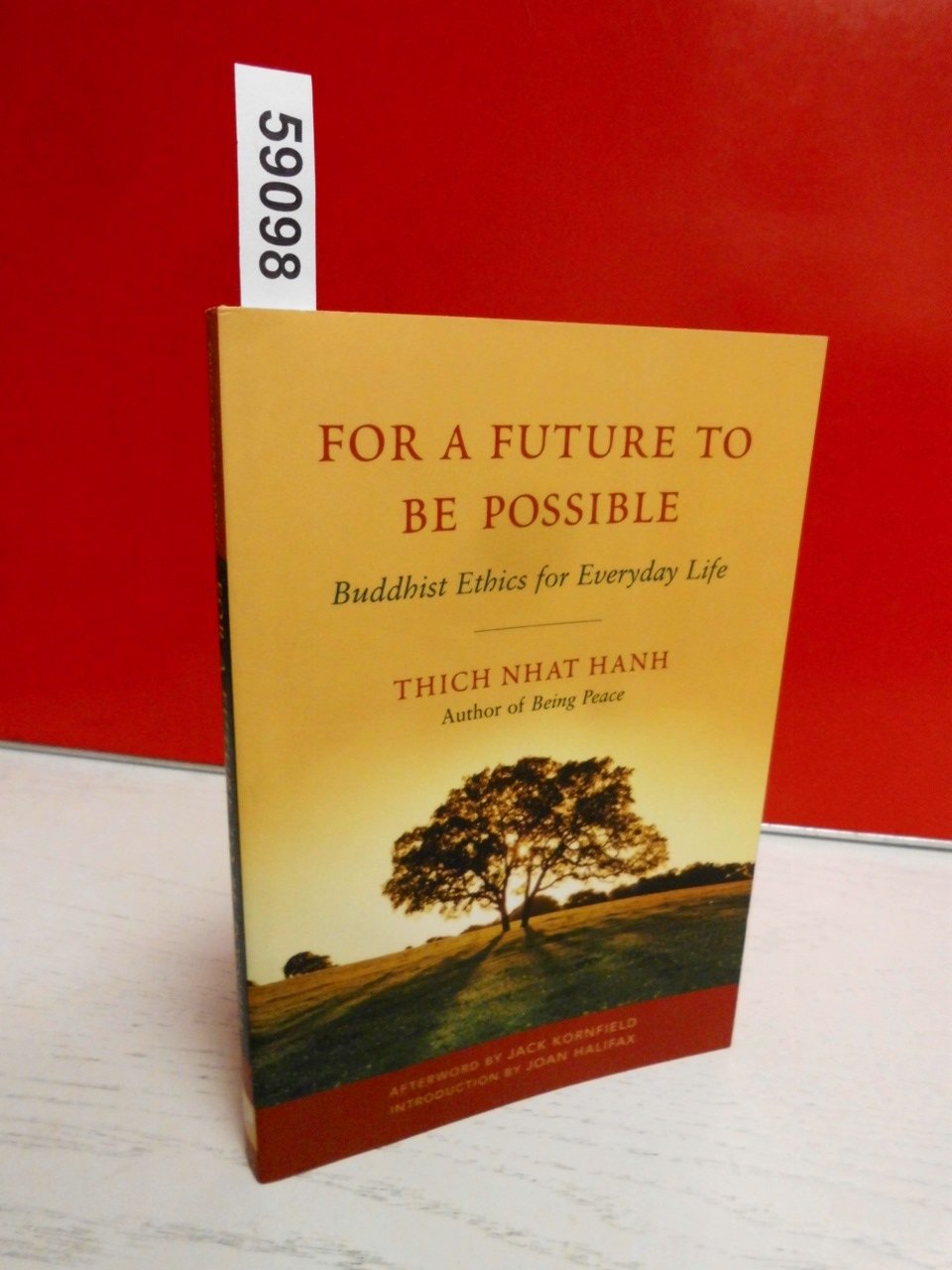 For a Future to Be Possible,Used
