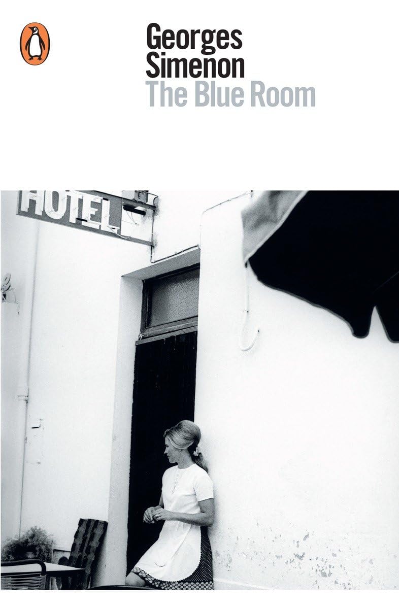 The Blue Room (Penguin Modern Classics),Used