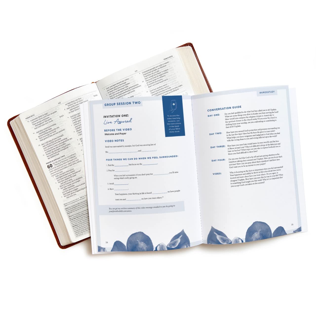 Amos  Bible Study Book with Video Access: An Invitation to the Good Life,Used