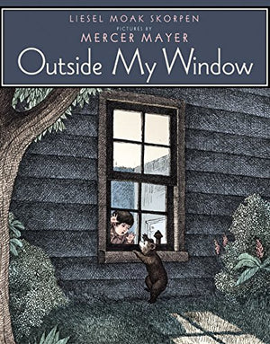 Outside My Window,Used