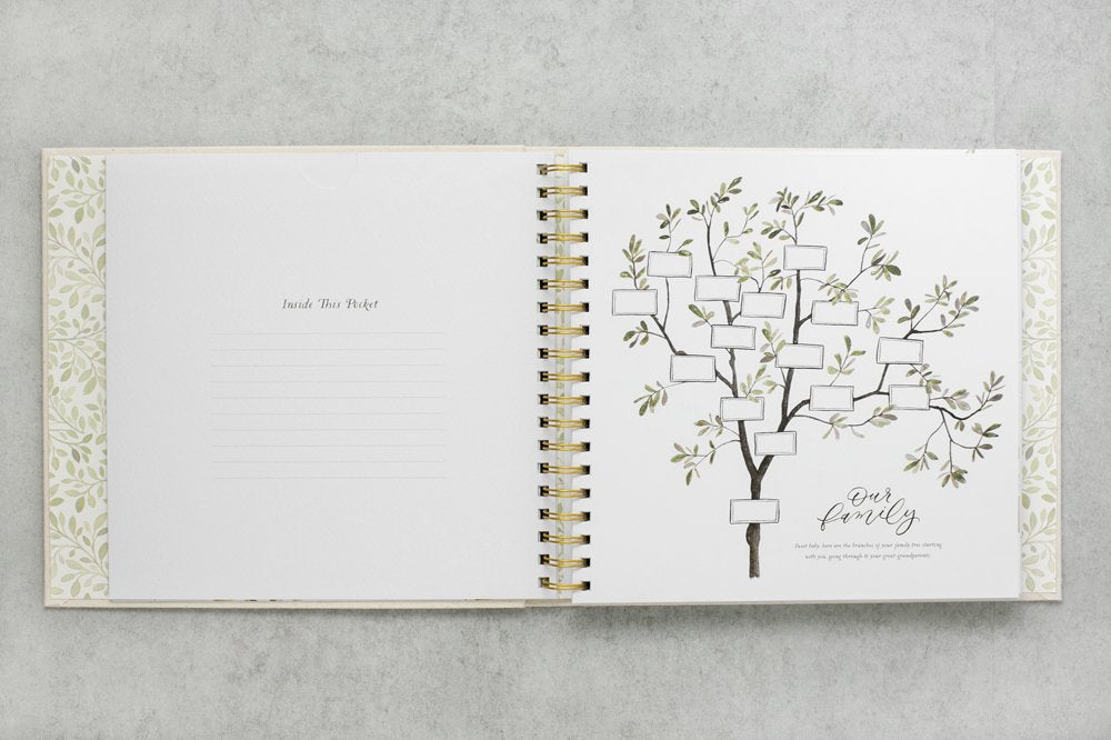As You Grow: A Modern Memory Book for Baby (Heirloom Story Books and Guided Journals),New