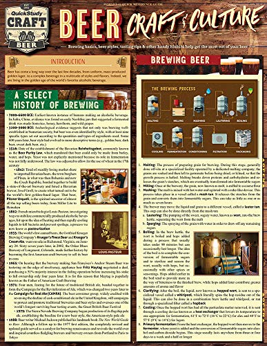 Beer  Craft & Culture: Quickstudy Laminated Reference Guide to Brewing, Ingredients, Styles & More,Used
