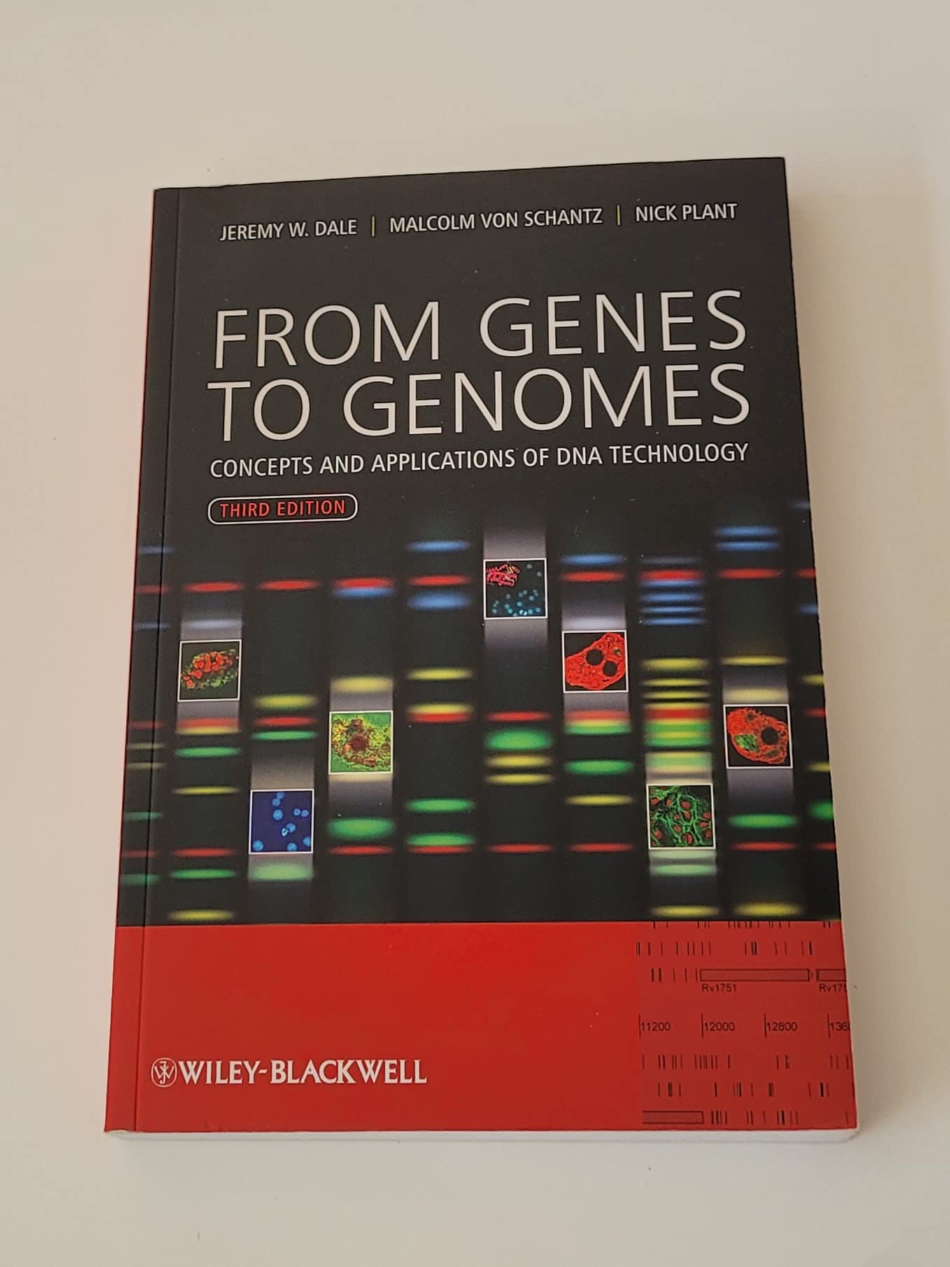 From Genes to Genomes: Concepts and Applications of DNA Technology,Used
