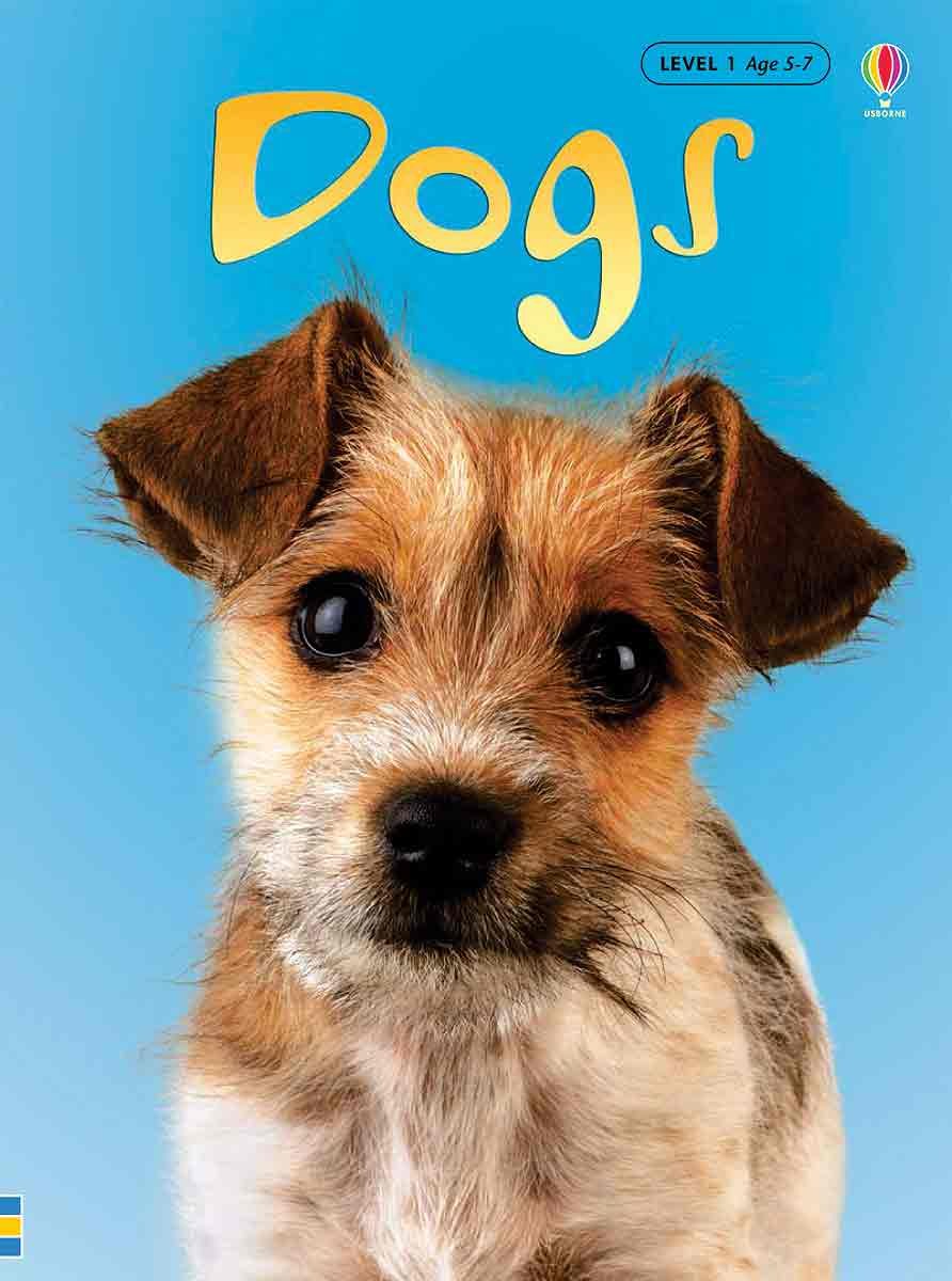 Dogs (Usborne Beginners: Information For Young Readers: Level 1),Used