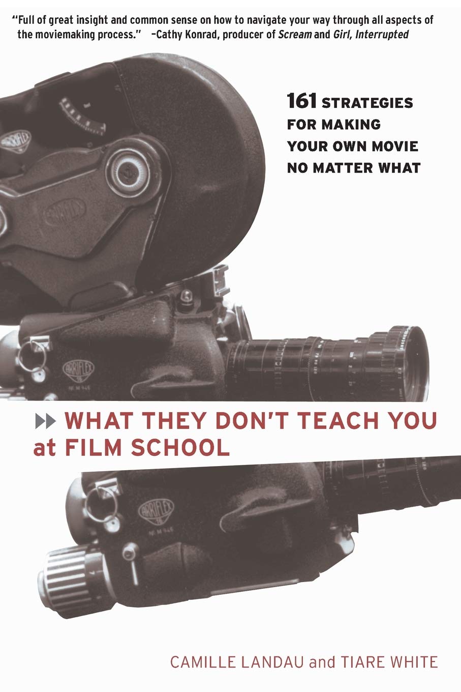What They Don'T Teach You At Film School: 161 Strategies For Making Your Own Movies No Matter What