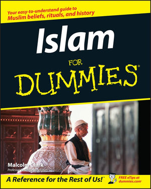 Islam For Dummies,Used