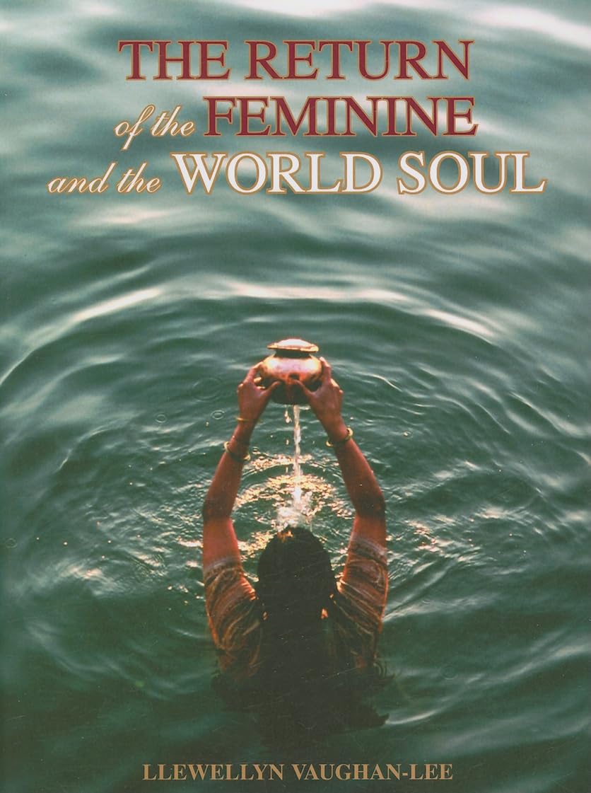 The Return of the Feminine and the World Soul,Used