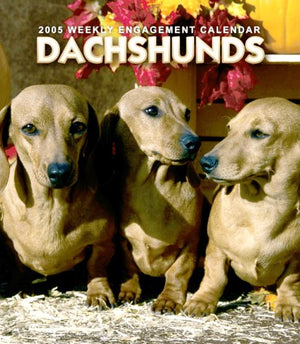 Dachshunds Weekly 2006 Calendar,Used
