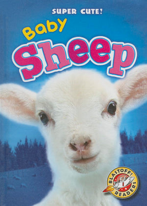 Baby Sheep (Blastoff Readers: Super Cute!),Used