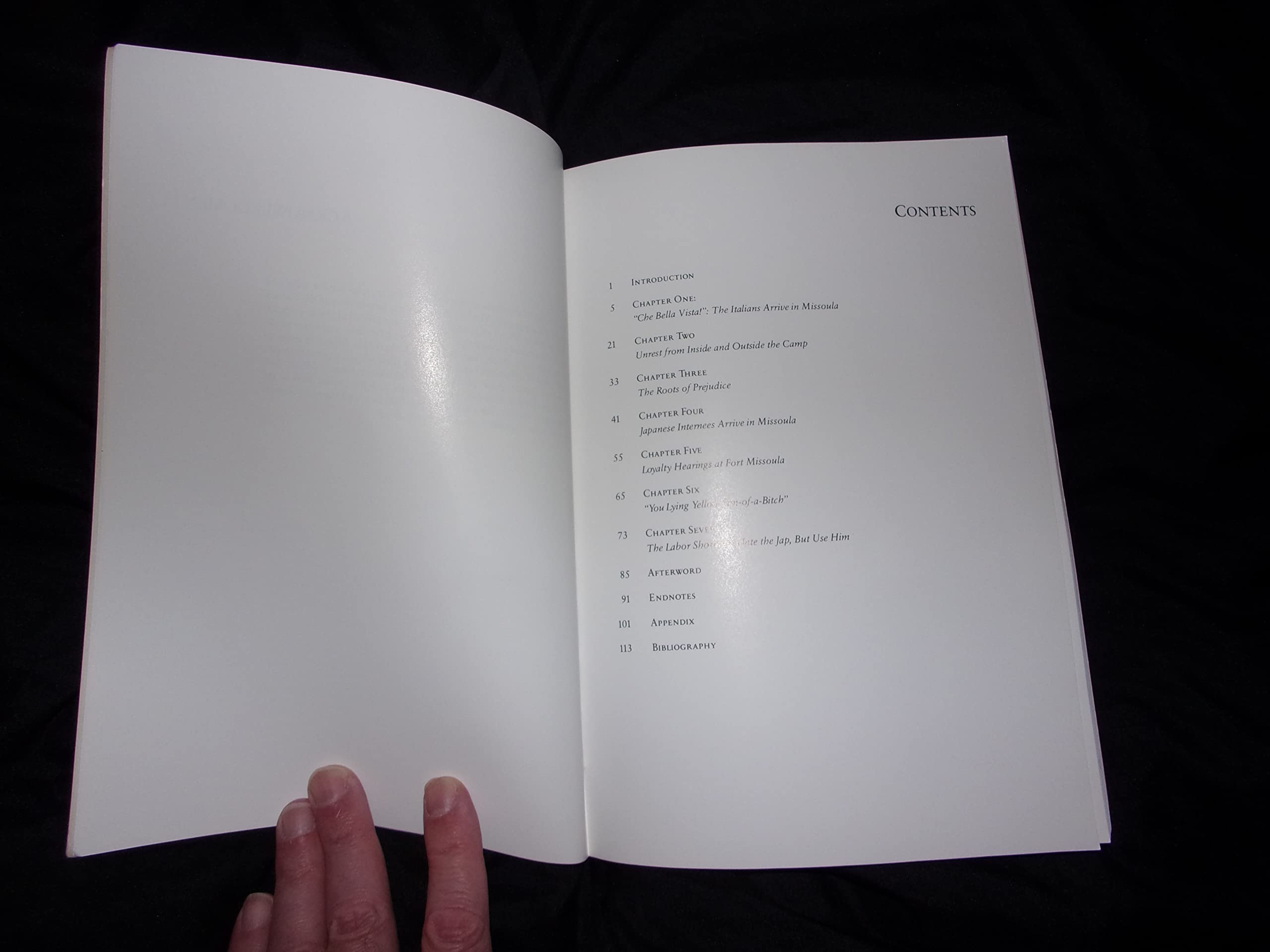 An Alien Place: The Fort Missoula, Montana, Detention Camp 194144,New