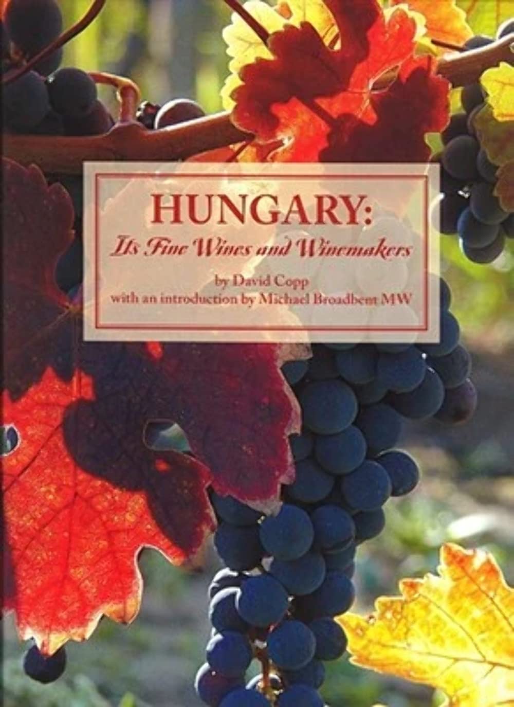 Hungary: Its Fine Wines and Winemakers,Used