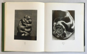 Edward Weston,New